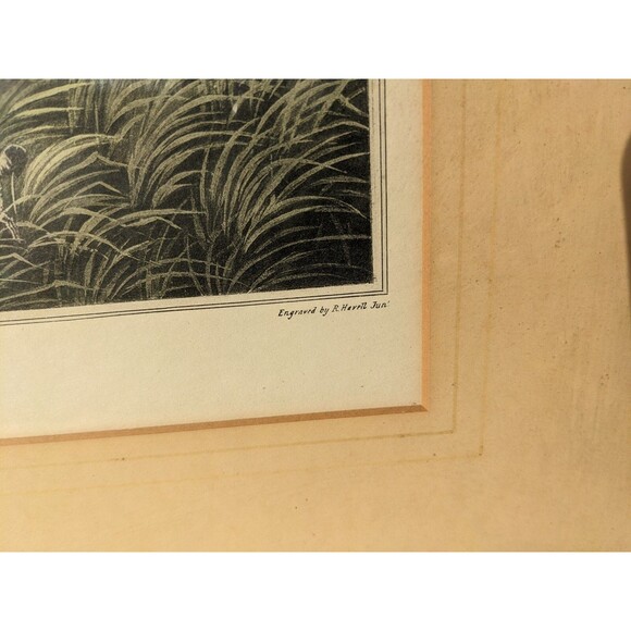 'Snipe Shooting Near Uxbridge' By Robert Havell Jr. Hand-tinted Aquatint Print - Picture 5 of 11